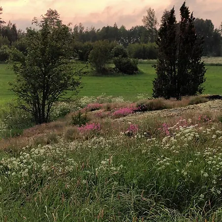 Glamping Glamping Kotitila Kiveinen *