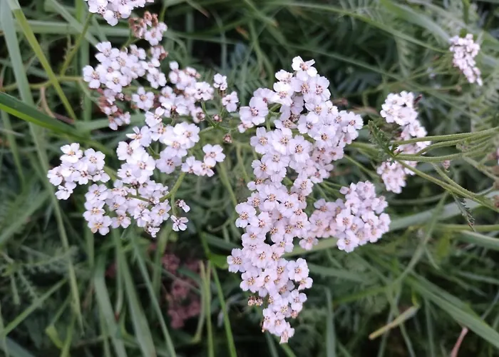 Glamping Kotitila Kiveinen Luxuszelt Laitila